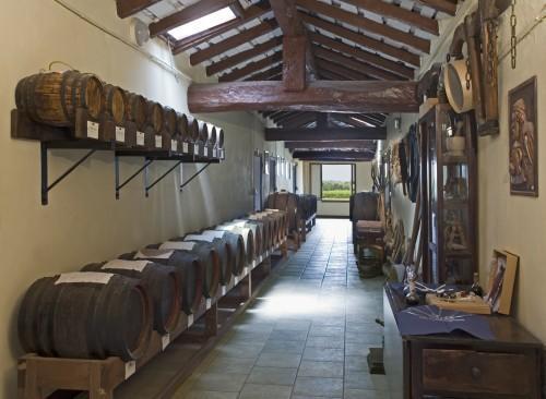 B&B Acetaia Il Mulino Di Navicello Modène Extérieur photo